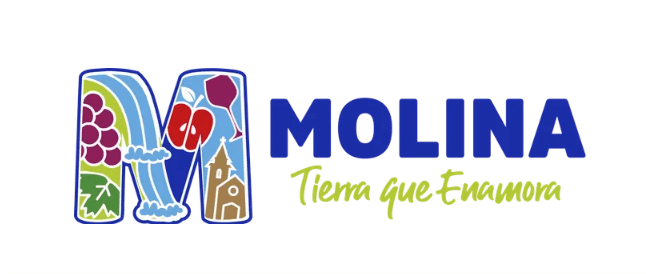 Logo Municipalidad de Molina